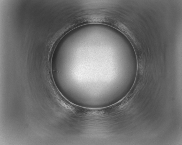 X0000073460721200608111509