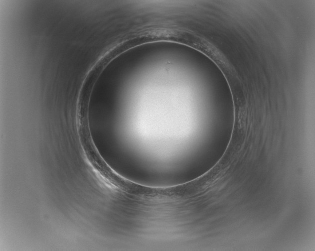 X0000073460722200608111509