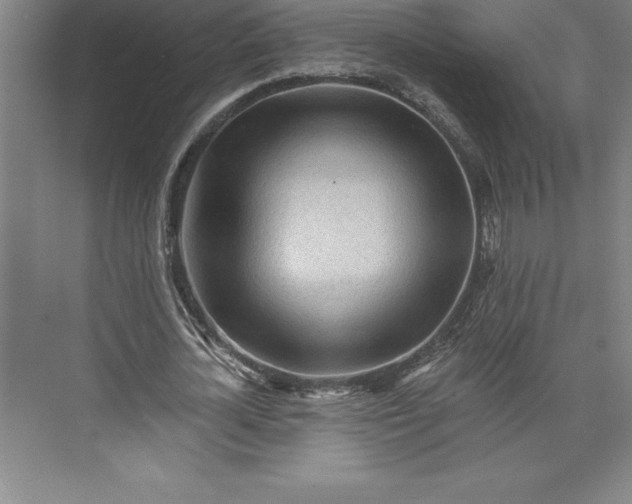 X0000073460724200608111509