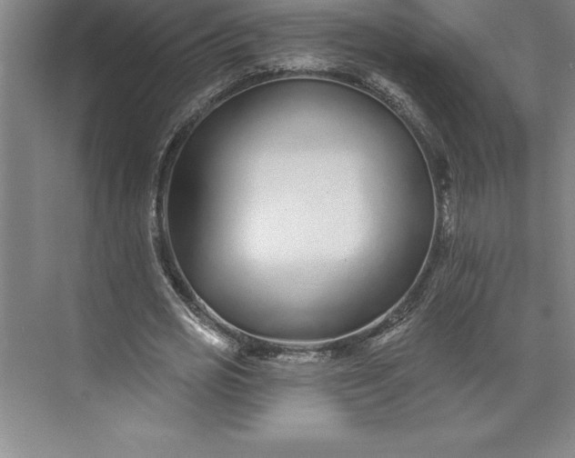 X0000073460725200608111509