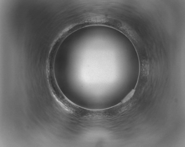 X0000073460726200608111509