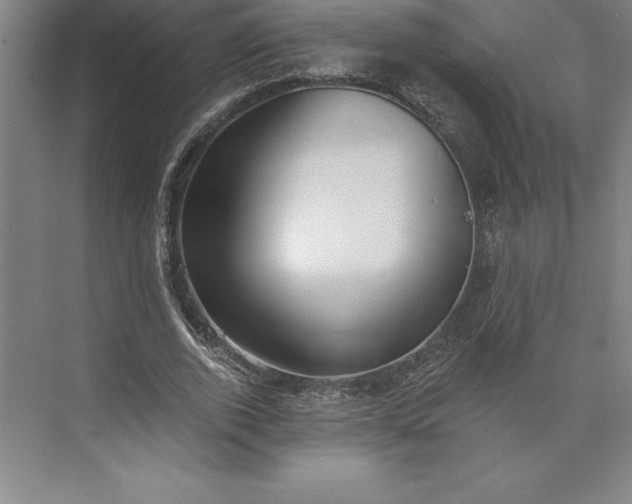 X0000073460728200608111509