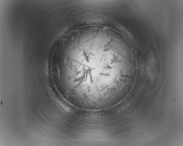 X0000073460729200608111509