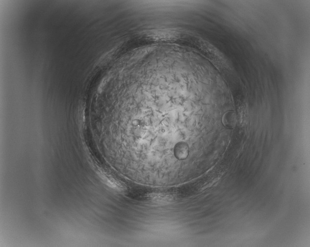 X0000073460733200608111509