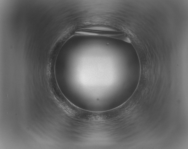 X0000073460735200608111509