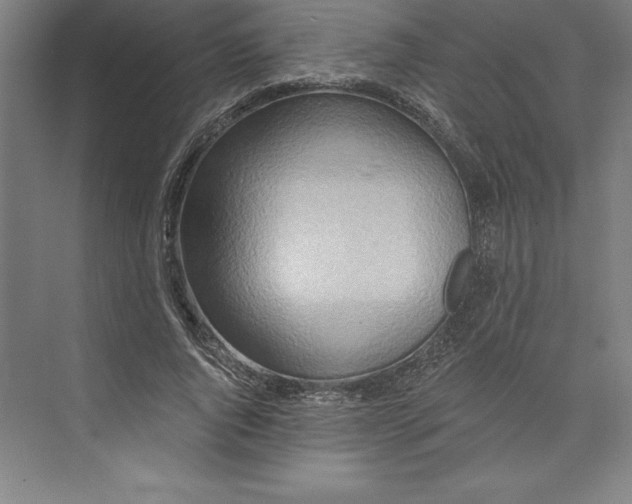 X0000073460736200608111509