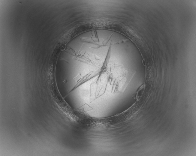 X0000073460737200608111509