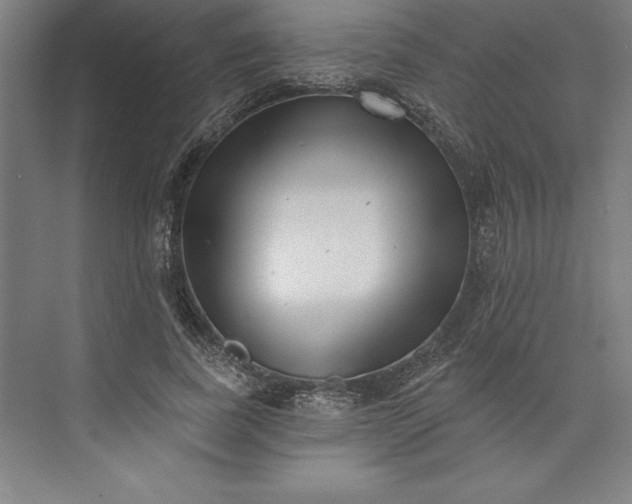 X0000073460739200608111509