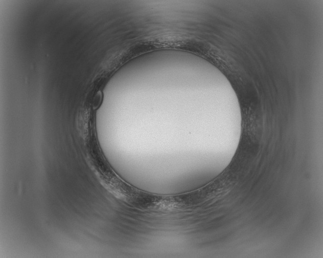 X0000073460742200608111509