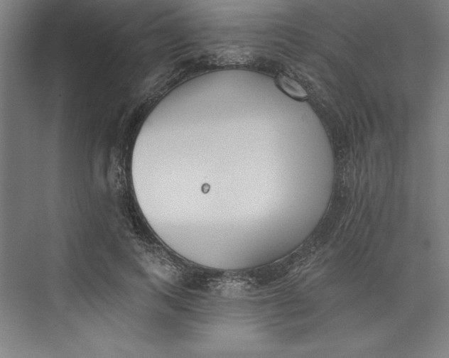 X0000073460743200608111509