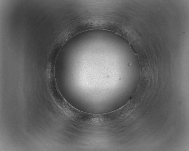 X0000073460744200608111509