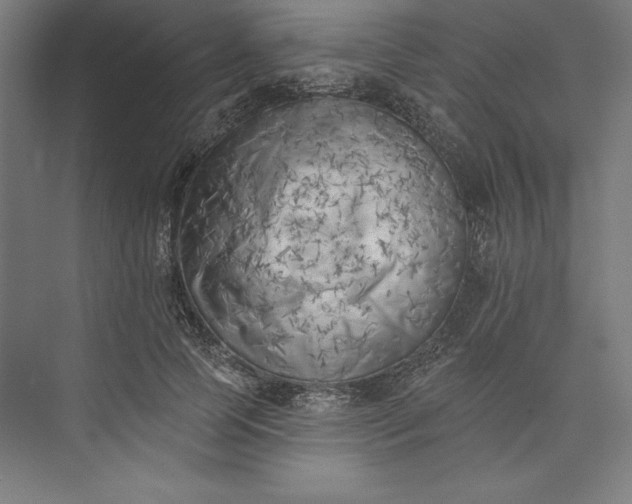 X0000073460745200608111509