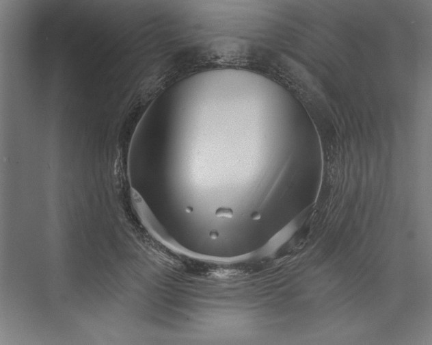 X0000073460748200608111509