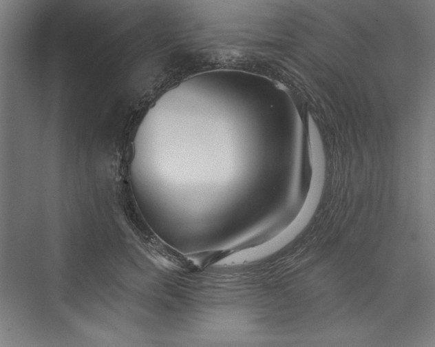 X0000073460750200608111510