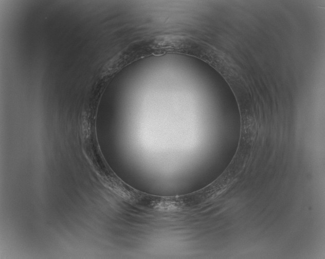 X0000073460751200608111510