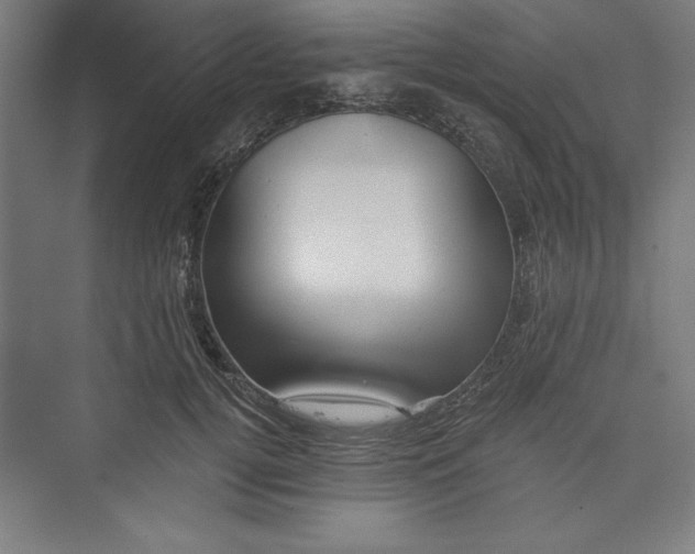 X0000073460752200608111510