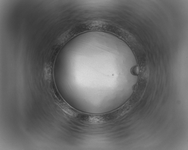 X0000073460753200608111510