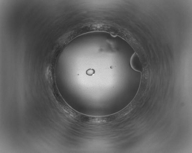 X0000073460754200608111510