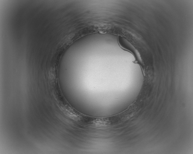 X0000073460756200608111510