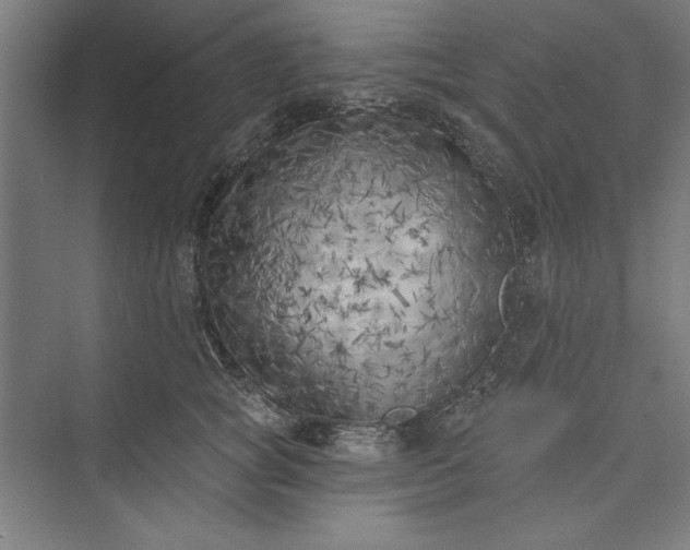 X0000073460757200608111510