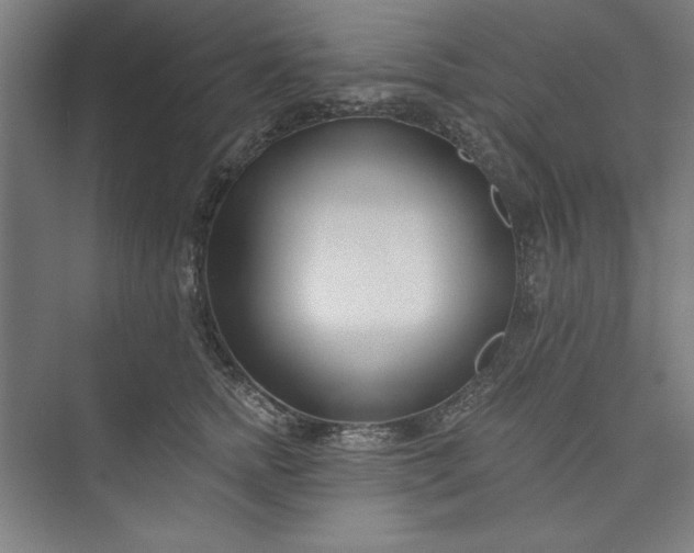 X0000073460758200608111510