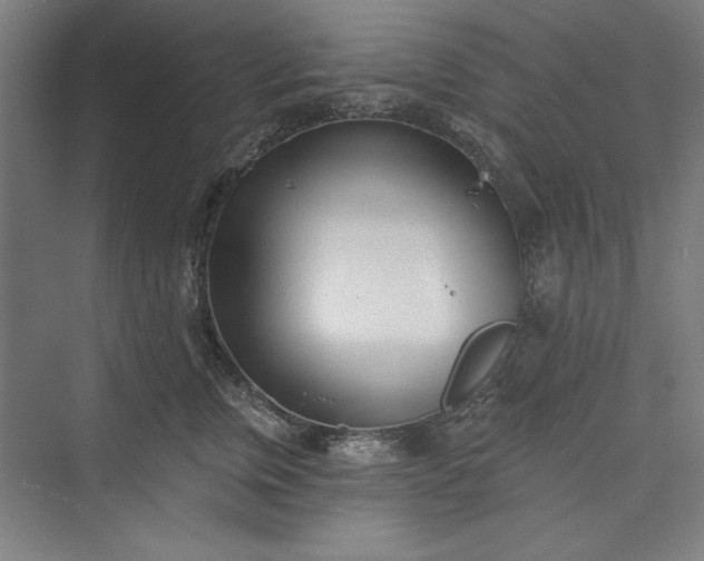 X0000073460759200608111510