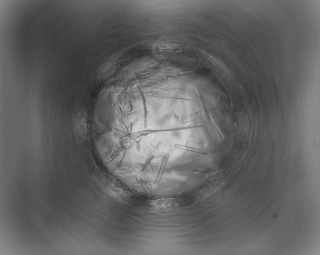 X0000073460761200608111510