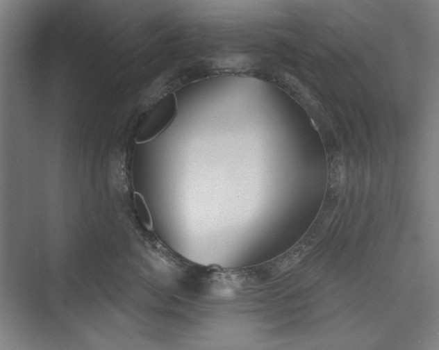 X0000073460764200608111510