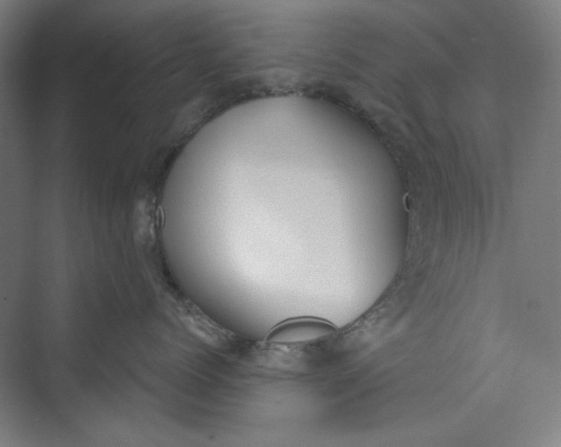 X0000073460768200608111510