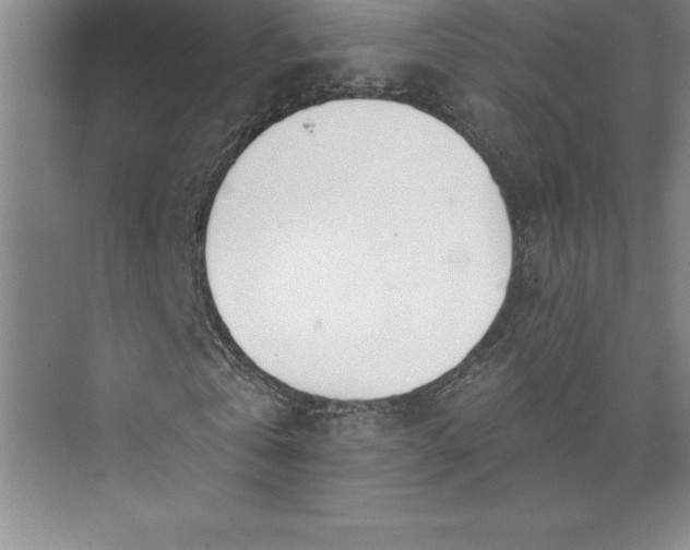 X0000073460769200608111509