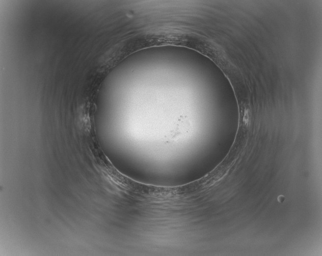 X0000073460771200608111509