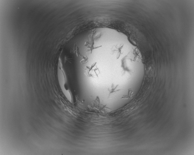 X0000073460772200608111509