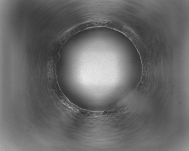 X0000073460773200608111509