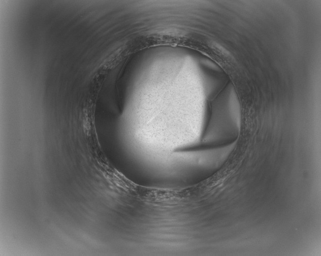 X0000073460774200608111509