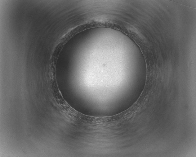 X0000073460776200608111509