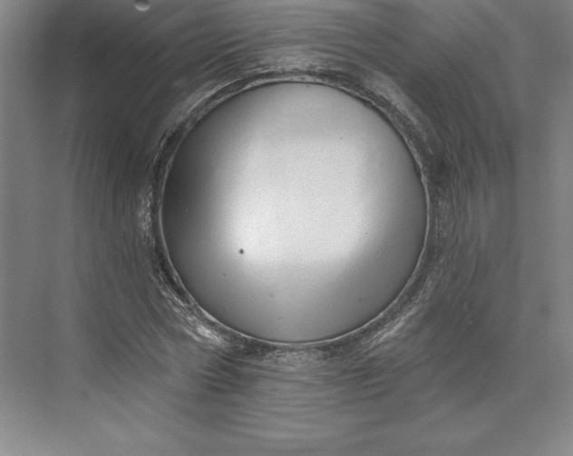 X0000073460778200608111509