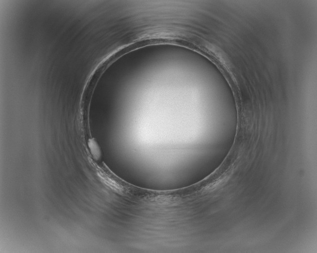 X0000073460779200608111509