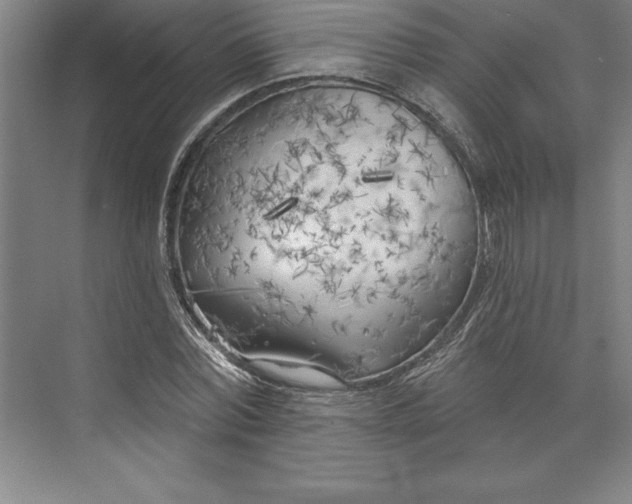 X0000073460780200608111509