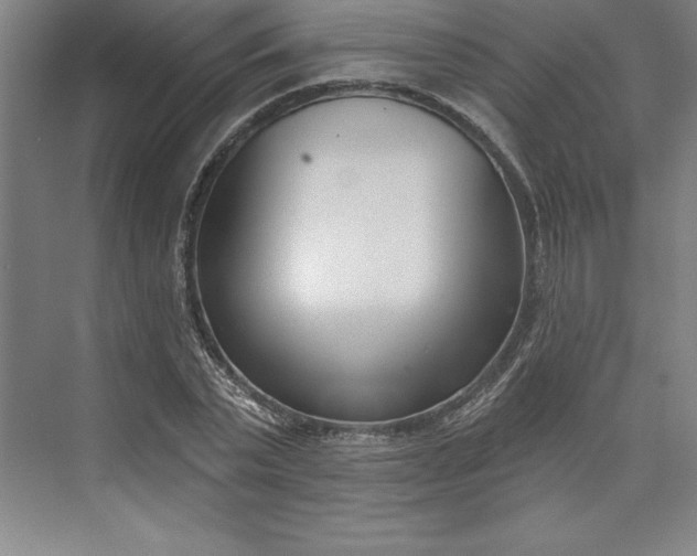 X0000073460783200608111509