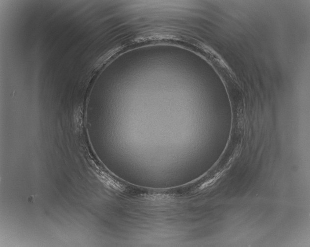 X0000073460785200608111509