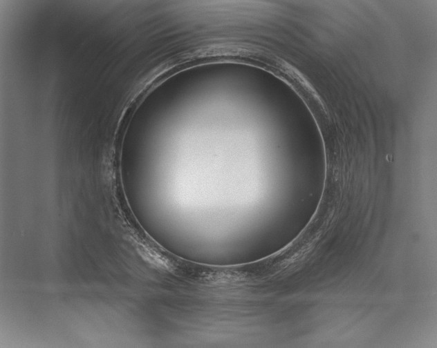 X0000073460786200608111509