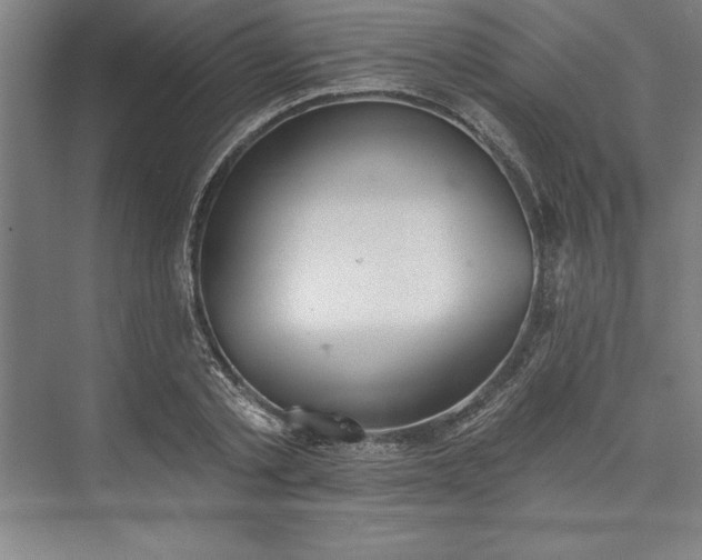 X0000073460789200608111509