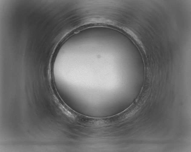 X0000073460791200608111509