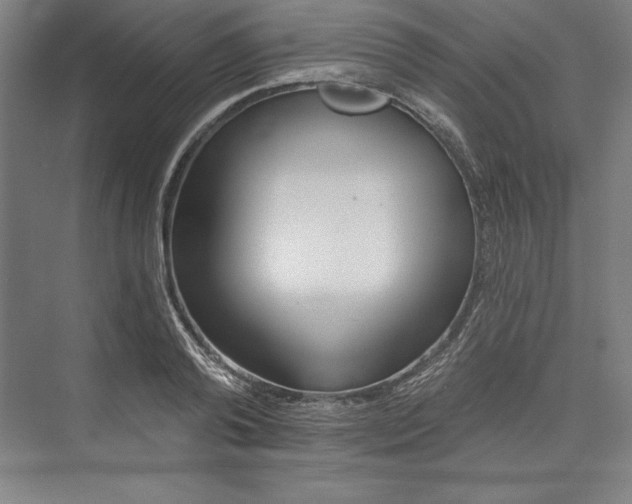 X0000073460792200608111509