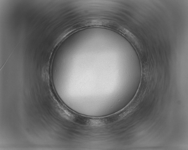 X0000073460794200608111509