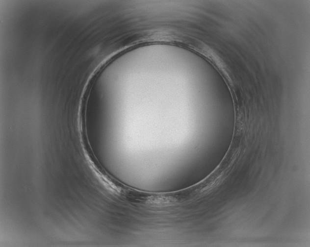 X0000073460795200608111509