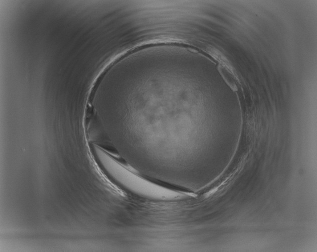 X0000073460797200608111509