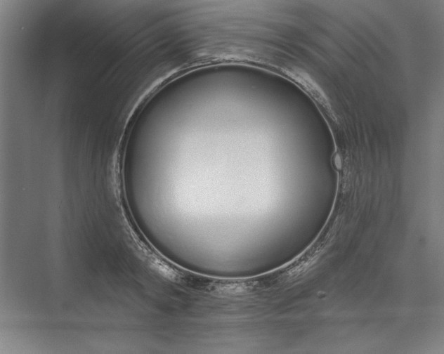 X0000073460798200608111509