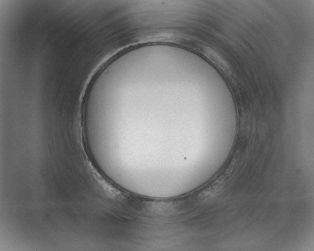 X0000073460800200608111508