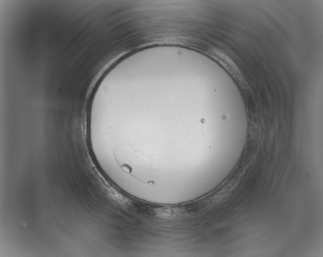 X0000073460804200608111508